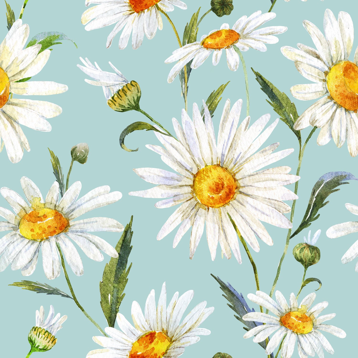 Daisy Dreams