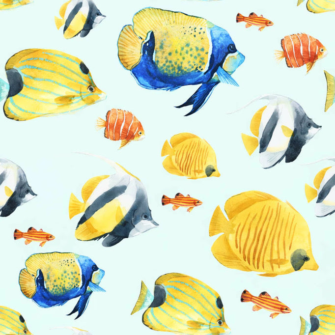 Ocean Wonders
