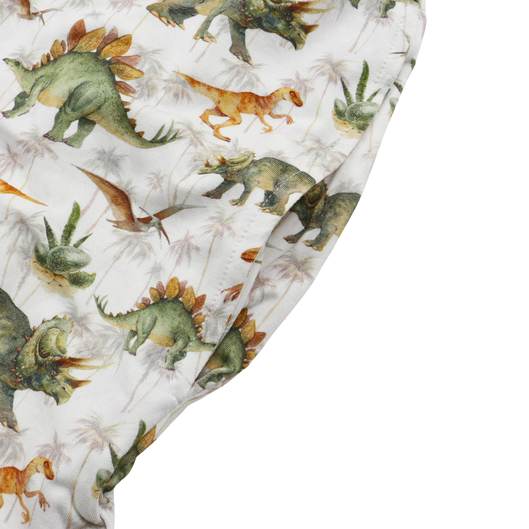 Unisex Adult Bamboo Pajama Set Dino World