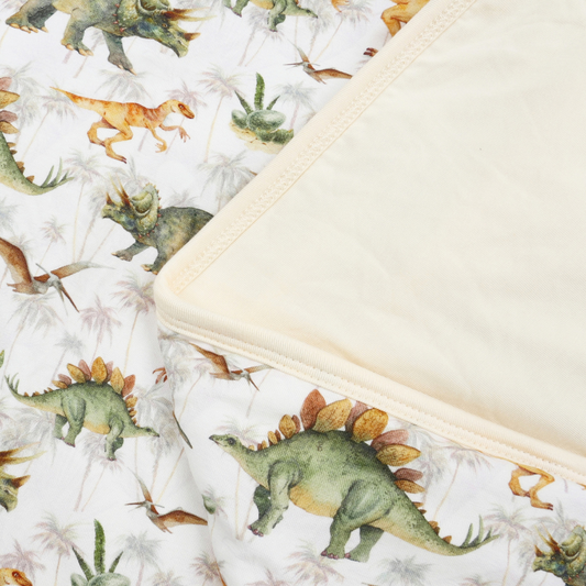 Bamboo 1.0 TOG Blanket Dino World