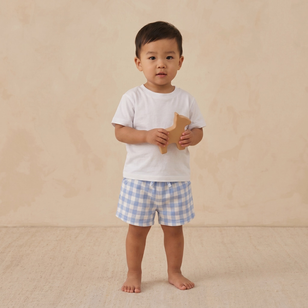 Organic Cotton Gingham Tee & Short Set