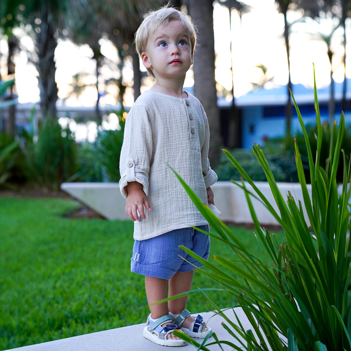 Organic Cotton Muslin Short Sleeve Shirt - SofiaMila